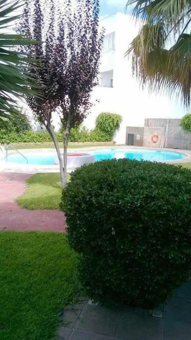 Apartamento Echando Anclas Barbate Luaran gambar
